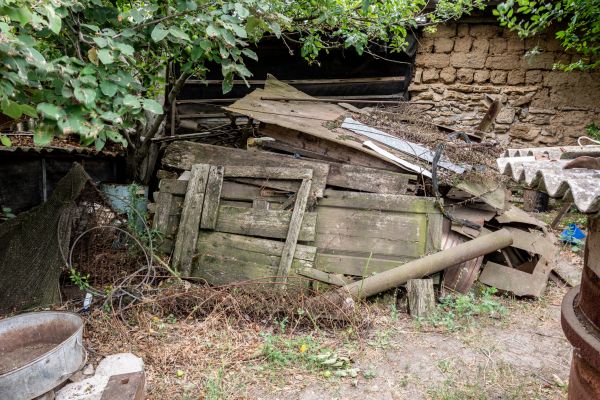 Backyard Clutter Removal